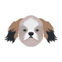 concetti di Cavalier King vettore