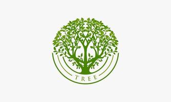 modello di progettazione logo cerchio albero frondoso. concetto di ambiente verde. vettore