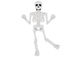 scheletro danzante. scheletro divertente clipart vettore