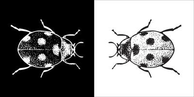 illustrazione grafica di insetto icona vettore