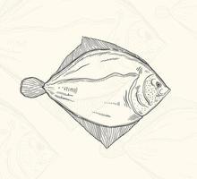illustrazione pesce schizzo food.hand menu design elemento disegnato. oggetto isolato in uno sfondo bianco. vettore