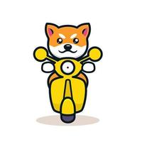 mascotte del cane shiba inu vettore