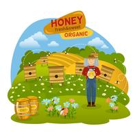 Illustrazione del concetto di miele vettore