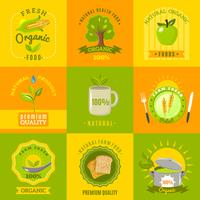 Set di icone piatte emblemi di cibo naturale vettore