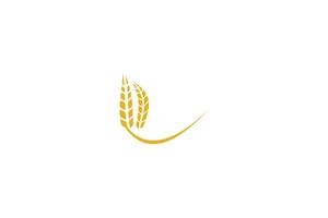 vettore di progettazione del modello di logo del grano, illustrazione dell'icona