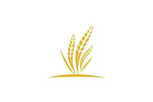vettore di progettazione del modello di logo del grano, illustrazione dell'icona