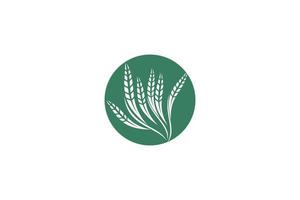 vettore di progettazione del modello di logo del grano, illustrazione dell'icona