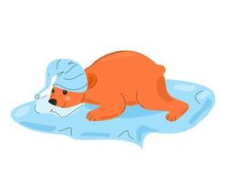 un orso con un berretto giace su una coperta. vettore
