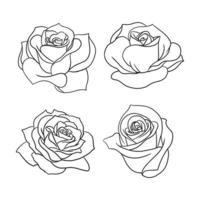 vari petali di rosa illustrazione isolato su bianco. rose non colorate per la composizione del design come elemento su inviti di nozze, biglietti di auguri e altro ancora. vettore