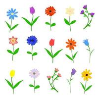 set di fiori primaverili disegnati a mano isolato su sfondo bianco illustrazione vettoriale