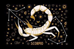 segno zodiacale scorpione. costellazione dello scorpione. illustrazione vettoriale. vettore