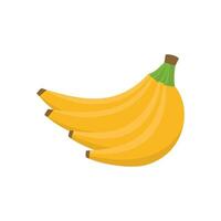 vettore di frutta fresca di banana
