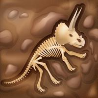 Immagine dell&#39;illustrazione fossile delle ossa di Dinasaur vettore