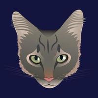 bella faccia di gatto grigio realistico con un aspetto espressivo. maine coon, gatto europeo a pelo lungo. ritratto a tutto tondo. illustrazione vettoriale piatta