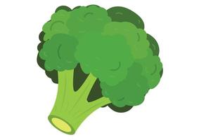 illustrazione vettoriale di broccoli isolati su sfondo bianco