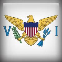 bandiera nazionale quadrata delle isole vergini americane vettore