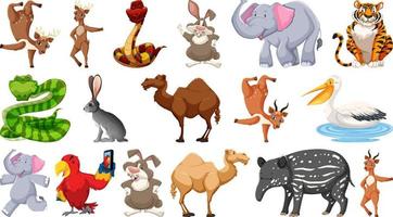 set di diversi personaggi dei cartoni animati di animali selvatici vettore