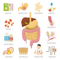 Set di icone del sistema digestivo vettore