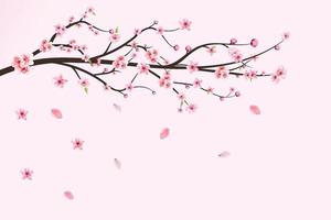 vettore di fiori di ciliegio giapponese. foglie di fiori di ciliegio che cadono. ramo di fiori di ciliegio realistico. fiore rosa sakura che cade. ramo di sakura con fiore rosa dell'acquerello. vettore di fiori di ciliegio ad acquerello