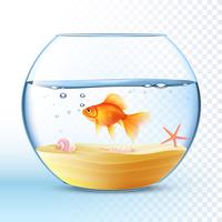 Golden Fish In Round Bowl Poster vettore