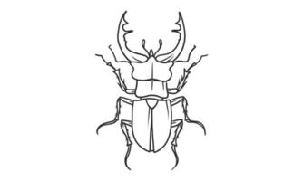 vettore lineart illustrazione di coleotteri su sfondo bianco, disegnato a mano giapponese scarabeo cornuto bug insetto sketch