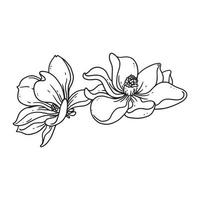 una bella illustrazione di contorno di frangipani. collezione di illustrazioni disegnate a mano di fiori per il disegno floreale. un elemento decorativo per inviti di nozze, biglietti di auguri, tatuaggi, ecc.