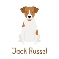 cane di razza jack russell terrier vettore