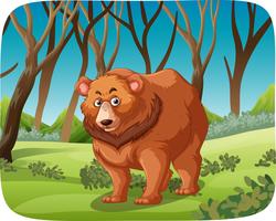 Un orso grizzly nella foresta vettore