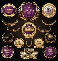 Distintivi ed etichette d&#39;oro di lusso premium vettore