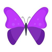 farfalla morpho viola vettore