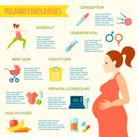 Set Infografica di gravidanza vettore