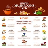 Infographics di funghi assortiti vettore