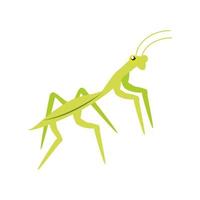 insetto mantide verde vettore