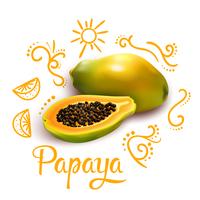 scarabocchi intorno alla composizione di papaia vettore