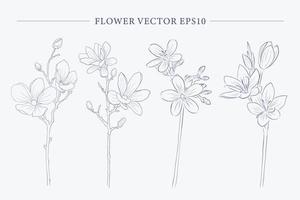 collezione di disegni floreali vettoriali creativi
