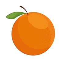 icona arancione fresca vettore