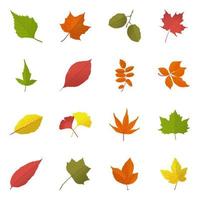 concetti di foglie d'autunno vettore