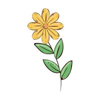 simpatico fiore di colore giallo con icona isolata di rami e foglie vettore