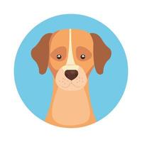 testa di cane carino in cornice circolare icona isolata vettore