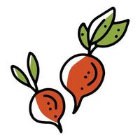 Ravanello raccolto di verdure autunnali, icona vettoriale in stile scarabocchio