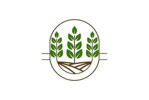 vintage pianta foglia agricoltura giardino natura logo design vector