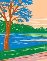 Bull Shoals-White River State Park con il miglior flusso di pesca alla trota nelle contee di Baxter e Marion in Arkansas wpa poster art vettore
