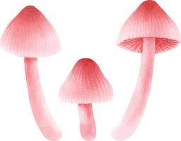 illustrazione di funghi collezione in stile acquerello vettore