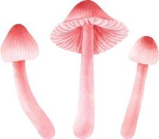 collezione in stile acquerello di illustrazione di funghi vettore