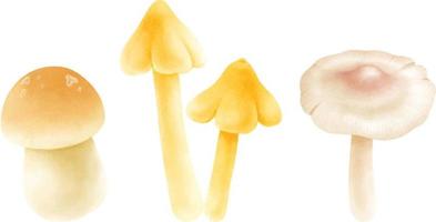 set di illustrazione di funghi in stile acquerello vettore