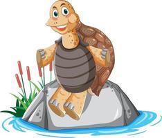 tartaruga con guscio marrone seduta su una roccia vettore