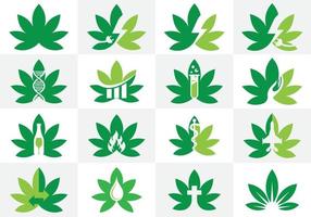 insieme del logo della cannabis. cannabis marijuana segno simbolo icona design vettore