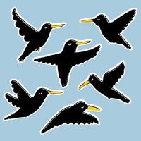 collezione di adesivi di corvi e corvi neri disegnati a mano. vettore