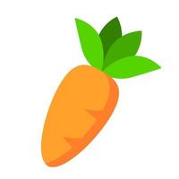 vettore icona carota
