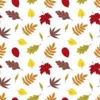 sfondo senza soluzione di continuità con foglie d'autunno. carta da parati per cucire vestiti, stampa su tessuto e carta da imballaggio. caduta delle foglie d'autunno.